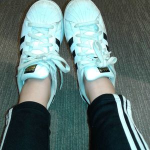 Meet your Posher, Ashlie